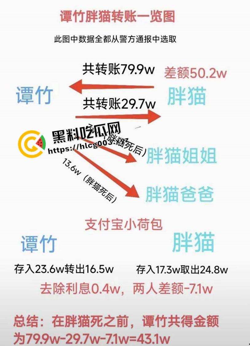 胖猫事件再反转！官方千字长文洗白 【谭竹】引导舆论转向意欲何为 神扒背后细思极恐-9