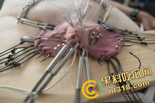 猎奇新高度,虐鸡阉割重口慎入,这才叫真蛋疼,鸡都不带哆嗦不把牛子当回事,瓜友你们怎么看?-16