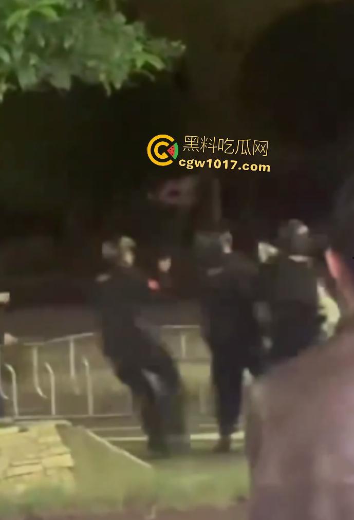 达州街头“刀皇”用菜刀袭警,小冲突变警匪大戏,警车撞击刀皇还能立马站起来,女友抱腿才能制服,太牛逼了!-4