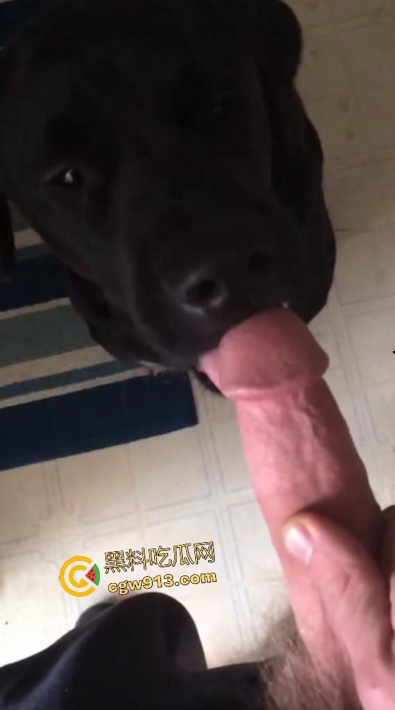 外国猛男与黑狗上演人兽大戏,叫自家黑母狗给自己口交舔鸡巴,还想撸管射精喂狗,这人狗情未了啊!-5