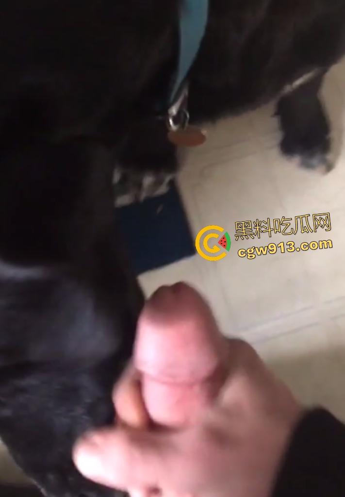外国猛男与黑狗上演人兽大戏,叫自家黑母狗给自己口交舔鸡巴,还想撸管射精喂狗,这人狗情未了啊!-8