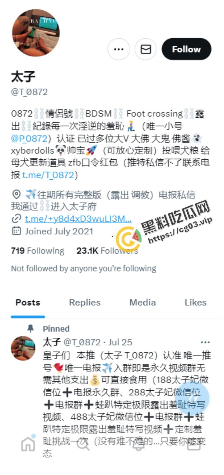 推特网黄【太子妃】甜美平胸模特女神 苗条瘦瘦身材  露脸照好美 各自户外调教  SM性虐做爱合集-1