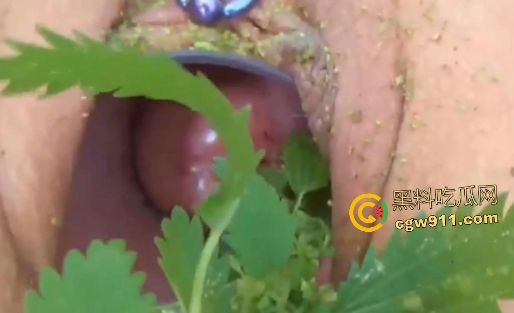 欧美老骚货狂虐宫颈！扩阴器撑开巨逼塞荨麻草，痒痛喷汁高潮不止，狠逼不怕肿胀只求刺激快感！-4