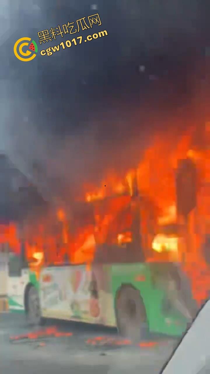 广东佛山季华园隧道口公交车发生自燃，现场浓烟滚滚，火势极其的大，具体自燃原因还待查明！-8