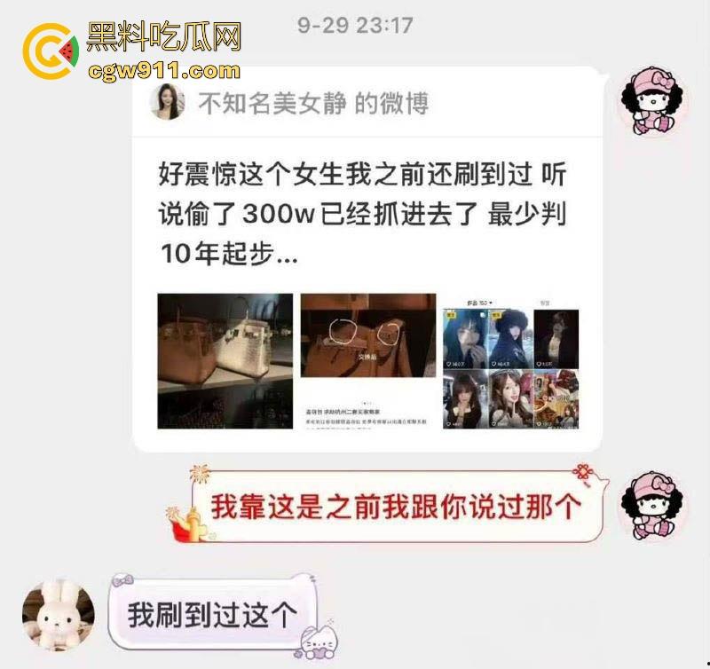 纯欲网红【小鱼丸子】变身怪盗基德！私下竟是偷包赌狗，600万奢侈品被调包，靠卖身还赌债，却还偷朋友东西变现！-2