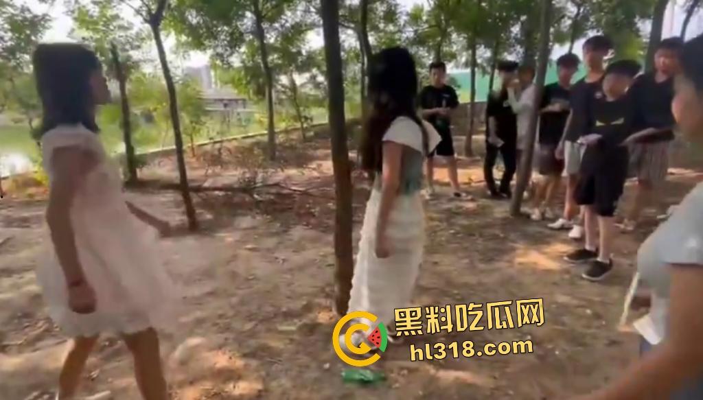 河南树林惊爆霸凌事件！精神小伙小妹群殴弱女，用手打还嫌手痛，最后直接用脚踹，腰都快要闪到了！-3