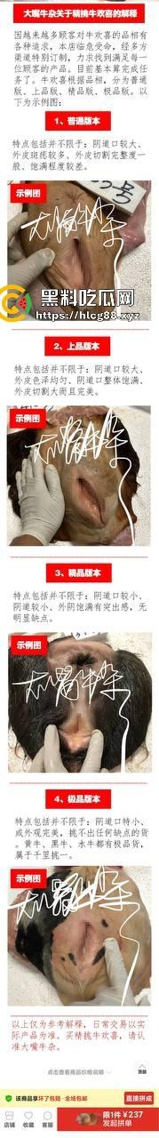 仿真牛逼飞机吞屌神器，各式号码选配让你爽，谁买这玩意撸？印度阿三日牛舔逼狂爱，卖他们直接当首富！-6