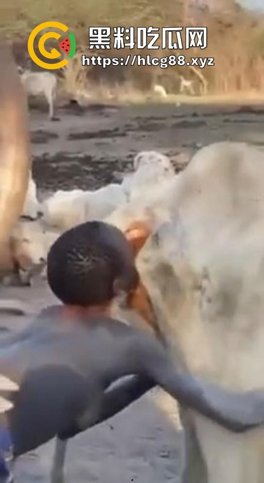 仿真牛逼飞机吞屌神器，各式号码选配让你爽，谁买这玩意撸？印度阿三日牛舔逼狂爱，卖他们直接当首富！-11