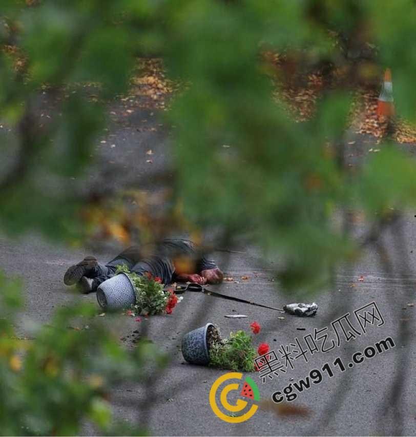 英国曼彻斯特犹太教堂持刀袭击事件：曼彻斯特希顿公园犹太会堂遭暴徒狂躁袭击，血腥惨剧惊天动地！-2