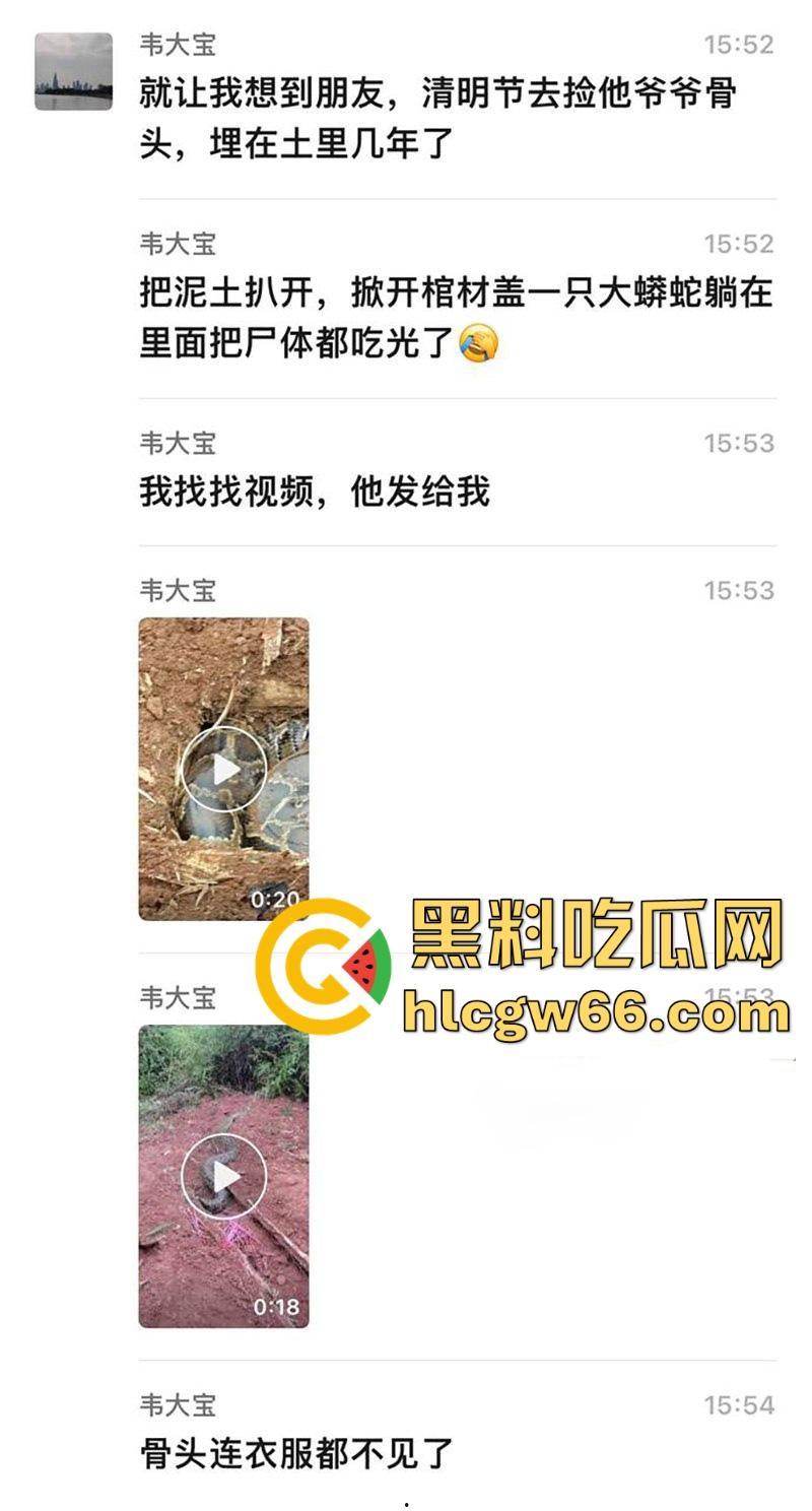 广西迁坟扫墓 棺材内惊现大蟒蛇 尸体被吃光 场面毛骨悚然 果然恐怖电影都源于现实啊！-1