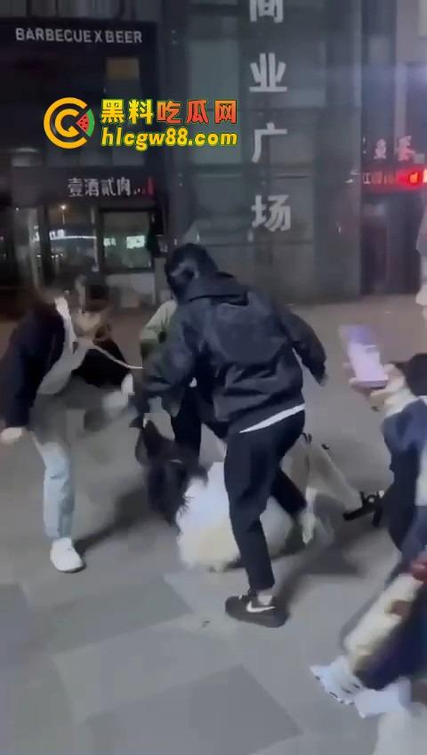 哈尔滨精神小伙大战精神小妹,化最丑的妆打最狠的架,地上全是血,社会摇直接进化成血战街头!-8