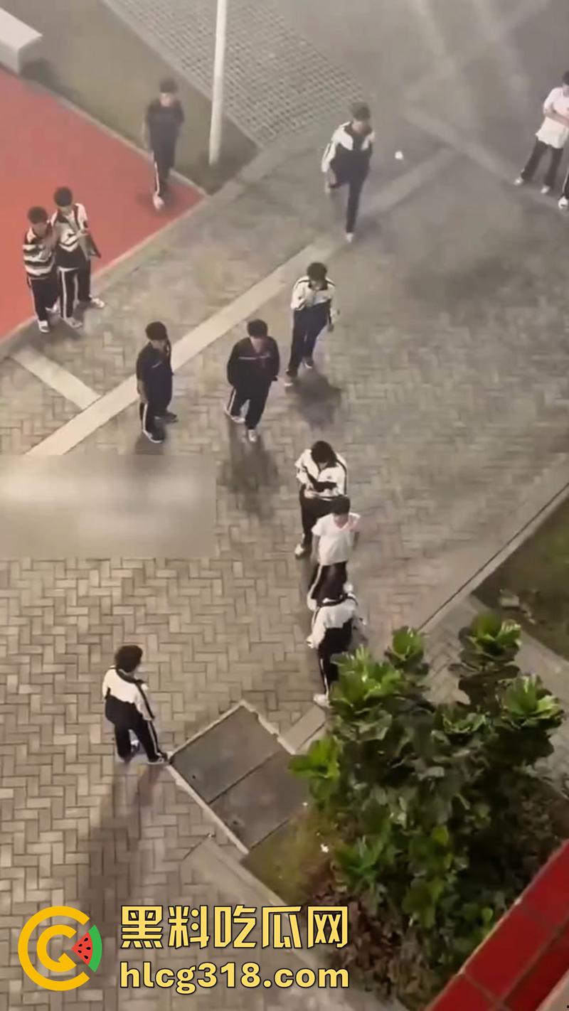 我拿你当兄弟你竟然操我妈？高中生把同学母亲给操怀孕了，儿子知道后直接在学校打起来了！-3