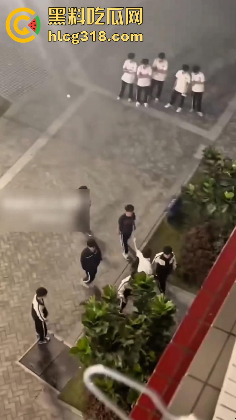 我拿你当兄弟你竟然操我妈？高中生把同学母亲给操怀孕了，儿子知道后直接在学校打起来了！-7