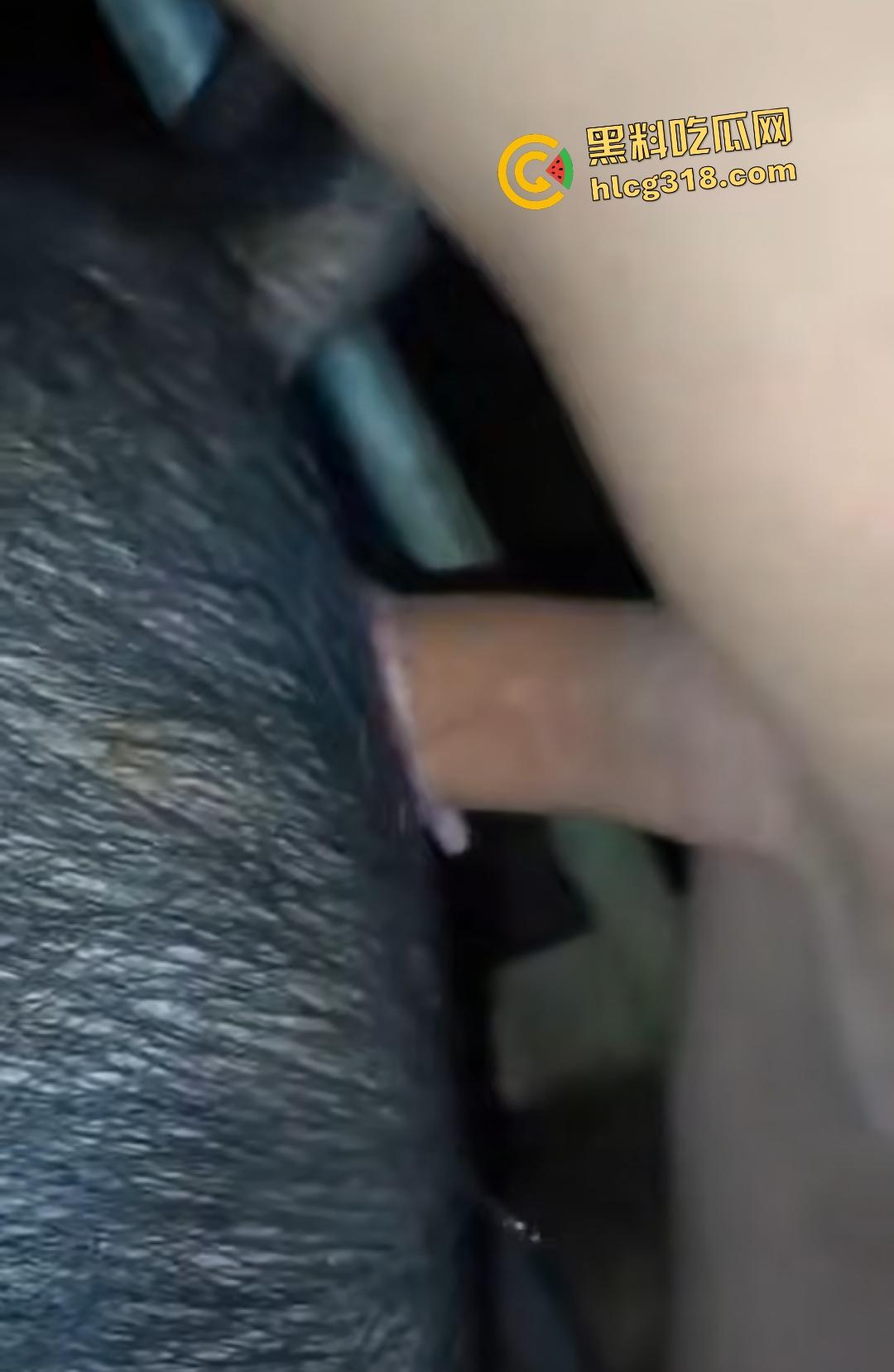 人兽杂交玩法逆天!狗子第一次遇见巨根 被抓尾巴抬腿操,另外操猪逼的,还挺有AV范!-4