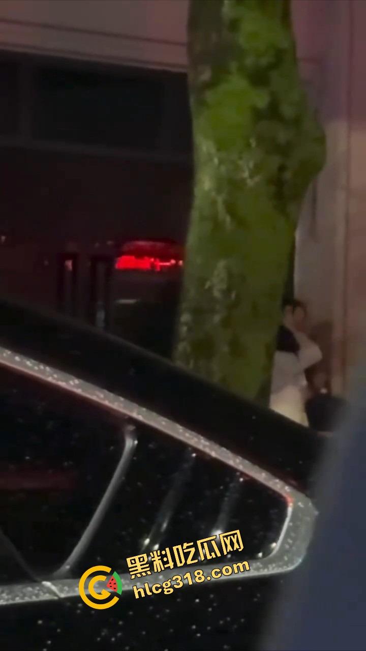 最美不是下雨天，是你在雨中掀开我裙子的那双手！车窗蒙雾，霸道总裁路边抠逼，小情侣偷拍还点评动作细节！-8