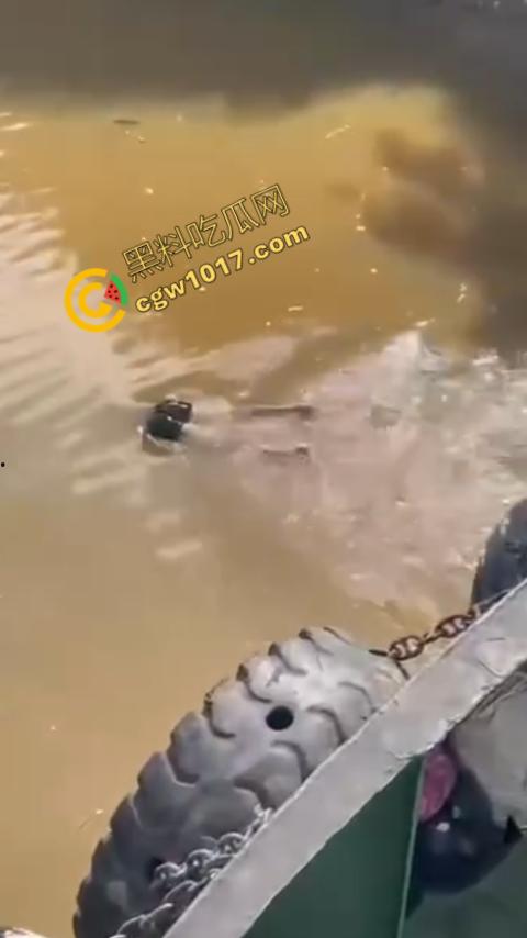 男子野泳惨遭鳄鱼袭击，身体被肆意撕裂，尸体血肉模糊，搜救队惊惧地目睹这惨绝人寰的一幕-6