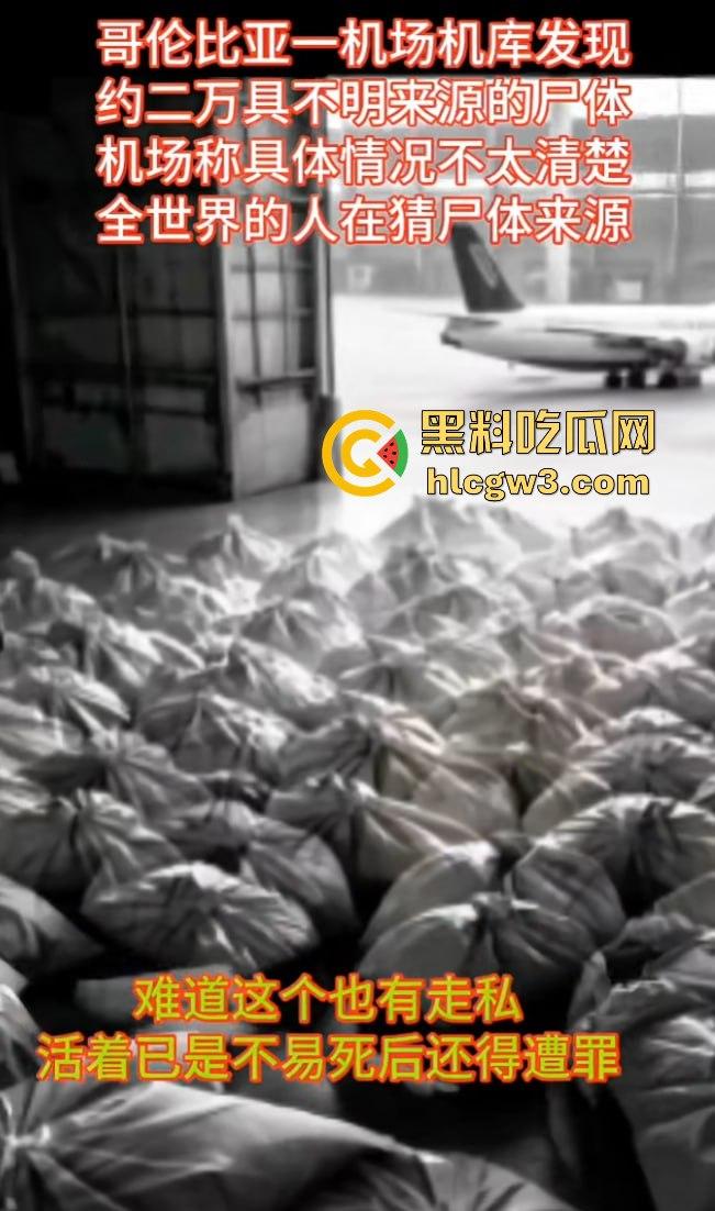 哥伦比亚波哥大国际机场惊现约2万具尸体！神秘发现震惊世界，背后藏着怎样的秘密？-19