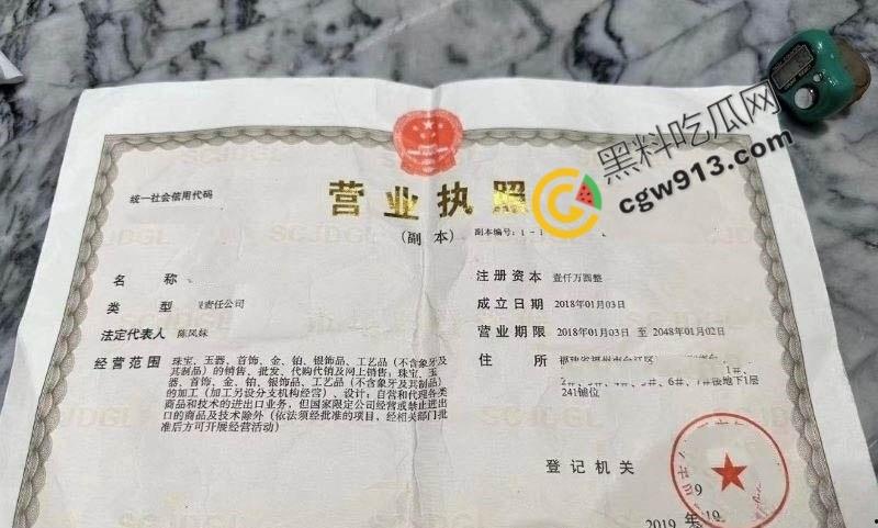 福建女总裁陈凤琴的淫荡人生:白天霸气总裁,晚上豪掷千金点男模陪玩,喜新厌旧,淫靡不堪-1