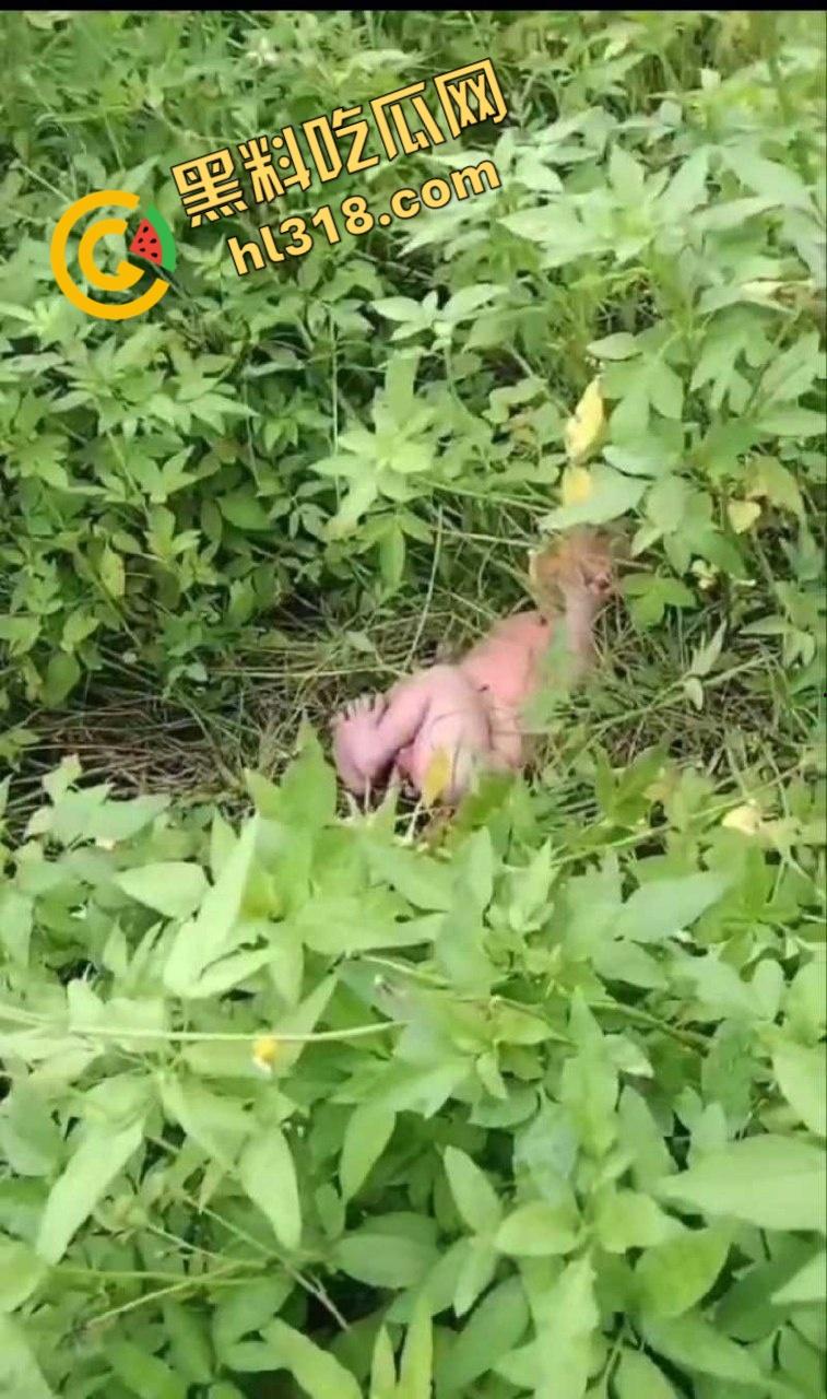 黑料正能量，福建福清市宏路公园发现一名弃婴，连脐带都没剪断，不幸中的万幸，得好心大娘救助！-1