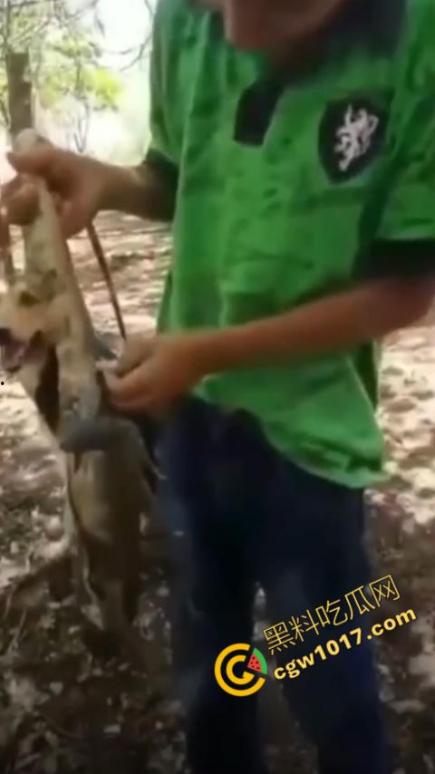 印度阿三享受变态玩乐：鸡巴爆操蜥蜴嫩穴，直到精液喷涌，炫耀异样快感，震撼画面引无数网民围观-11