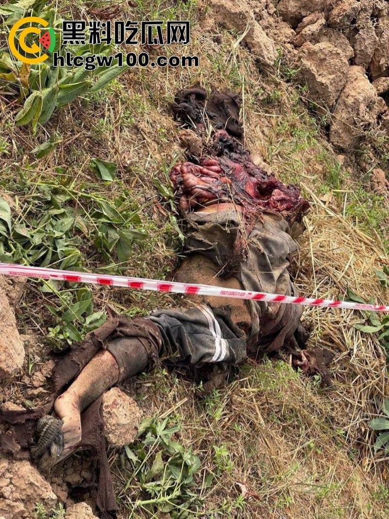 电棍烤肉天天有 鞭打枪击家常饭 东南亚园区猪仔真实生活实况流出-2