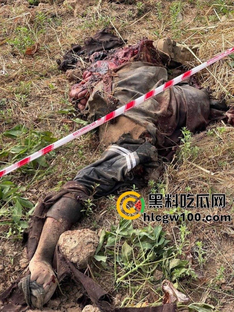 电棍烤肉天天有 鞭打枪击家常饭 东南亚园区猪仔真实生活实况流出-6