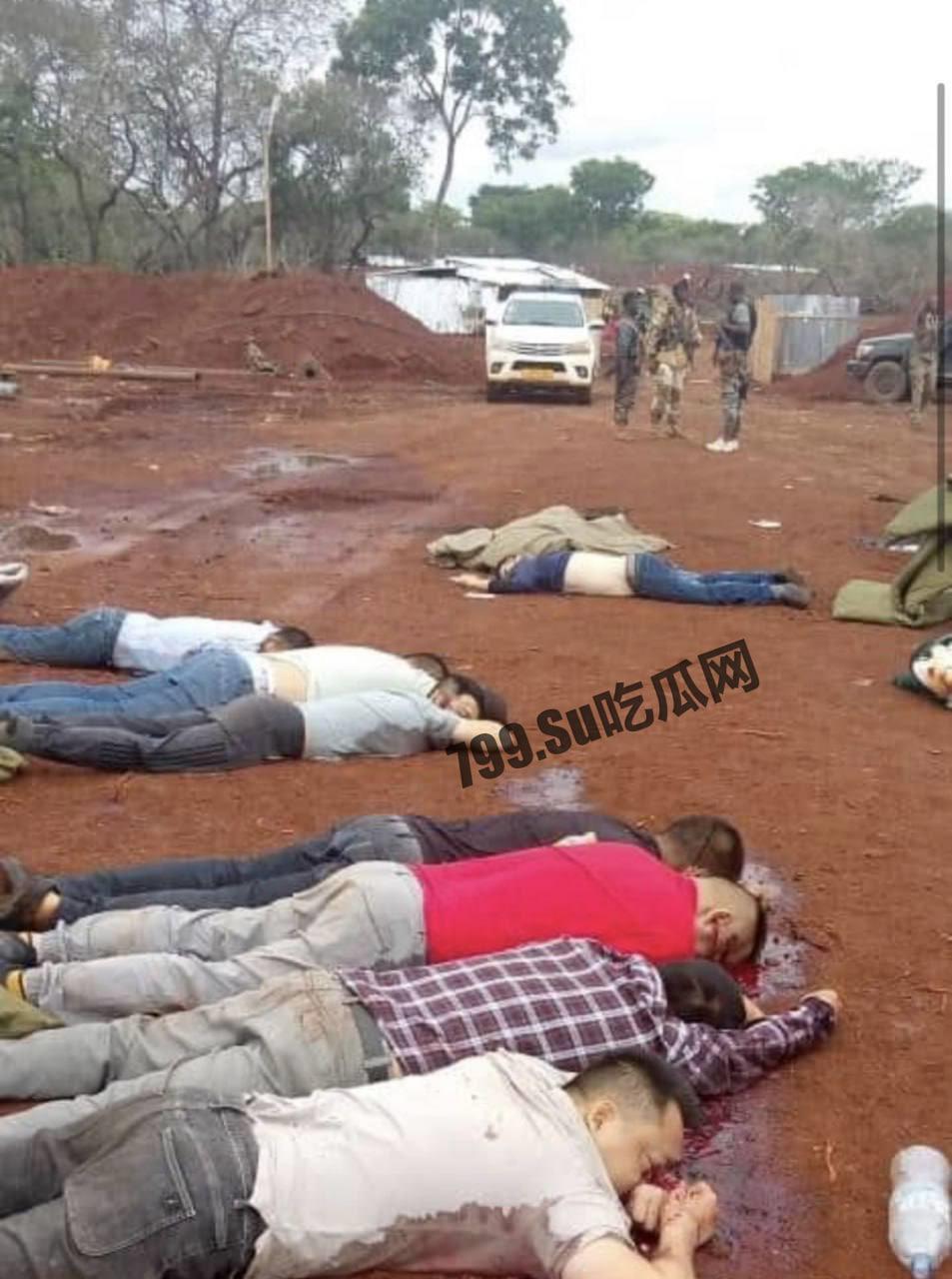 中非共和国金矿遇袭，九名中国人丧生，现场视频流出-5
