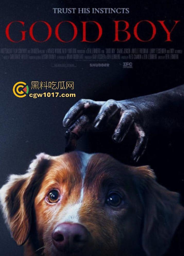 电影【好狗狗】，乡下老宅鬼影幢幢印第狂吠撕咬恶灵，邻居猎人装妖魔潜伏，忠犬搏命救主，真是条好狗狗！-1