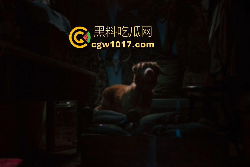 电影【好狗狗】，乡下老宅鬼影幢幢印第狂吠撕咬恶灵，邻居猎人装妖魔潜伏，忠犬搏命救主，真是条好狗狗！-2