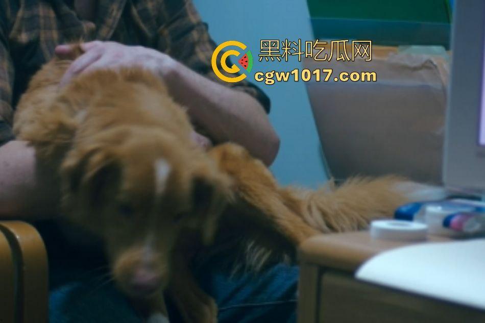 电影【好狗狗】，乡下老宅鬼影幢幢印第狂吠撕咬恶灵，邻居猎人装妖魔潜伏，忠犬搏命救主，真是条好狗狗！-4