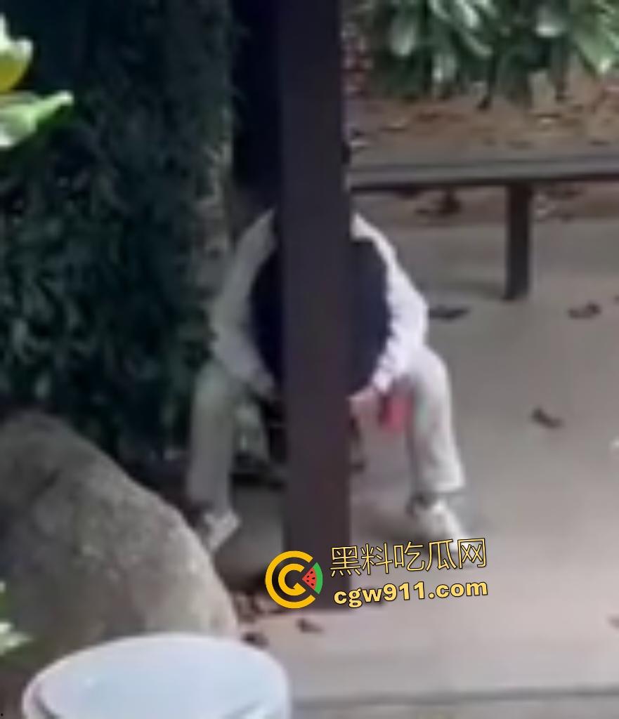 徐州技师学院情侣凉亭,网红小树林户外野战,高颜值女技师骑乘男友隔裤狂磨,精液淫水搞湿裤裆!-7