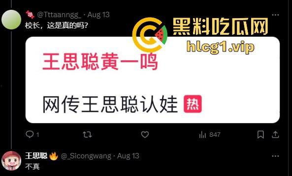 黄一鸣vs王思聪，流量密码再爆发！假瓜满天飞，王思聪直言黄一鸣不配‘思聪严选’！-3