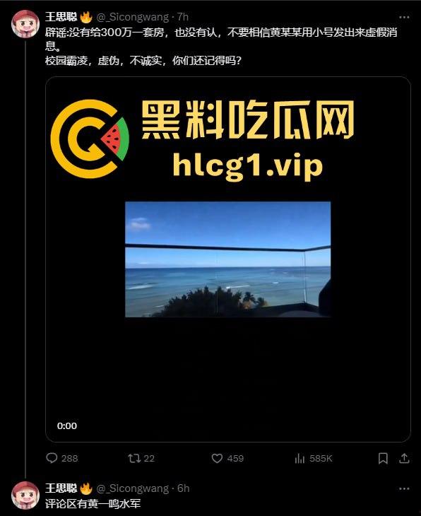 黄一鸣vs王思聪，流量密码再爆发！假瓜满天飞，王思聪直言黄一鸣不配‘思聪严选’！-16