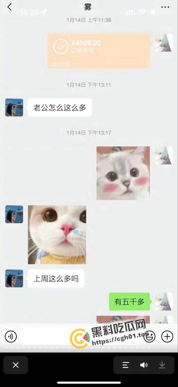 正义开盒【谭竹】全家！纯爱战神【肥猫】再爆更多聊天记录 地址有了 有没有瓜友线下真实-8