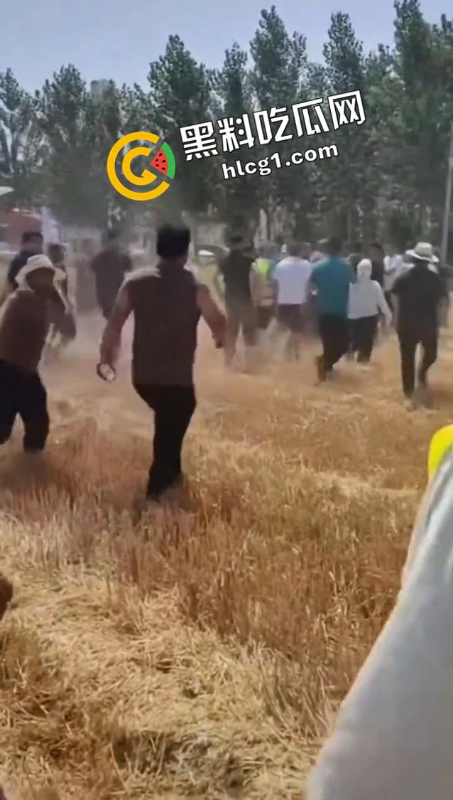 山东聊城 唐元镇村委会雇佣社会人员殴打村民  警察在一旁毫无作为 抖音删帖原视频-4