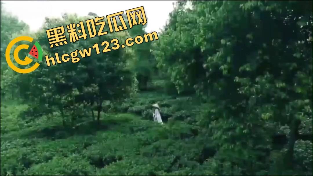 纯正奶茶现采现挤？真奶福建嫩茶打底，鲜得直流奶！那你喝的霸王茶姬，是工业冲泡的制服打工婊！-1