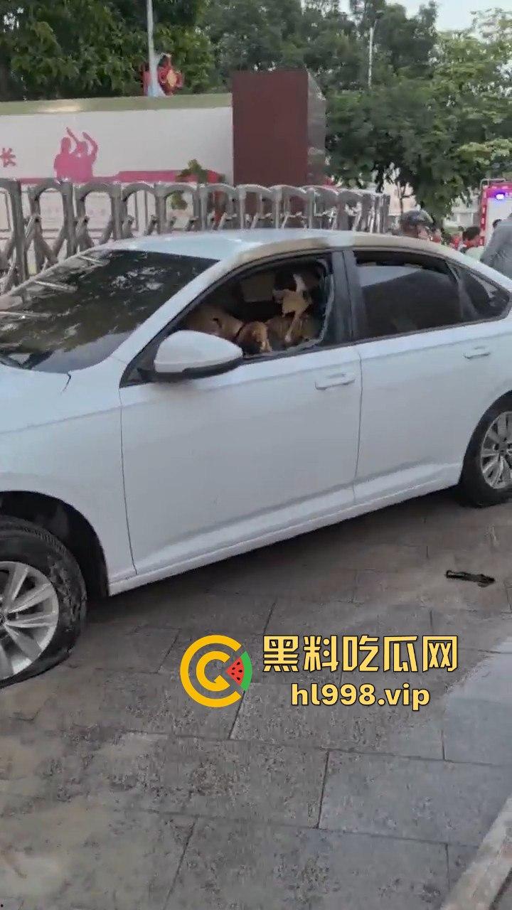 福建云霄县女司机火烧车疯狂冲撞学校！8人血洒当场，司机惨死！警方紧急调查背后真相！-12