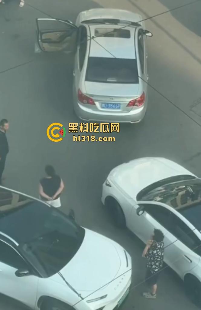 河南许昌长葛停车纠纷变全武行！本地司机狂挥拳痛殴外地车主，全家属拉着外地车主不让走！-7