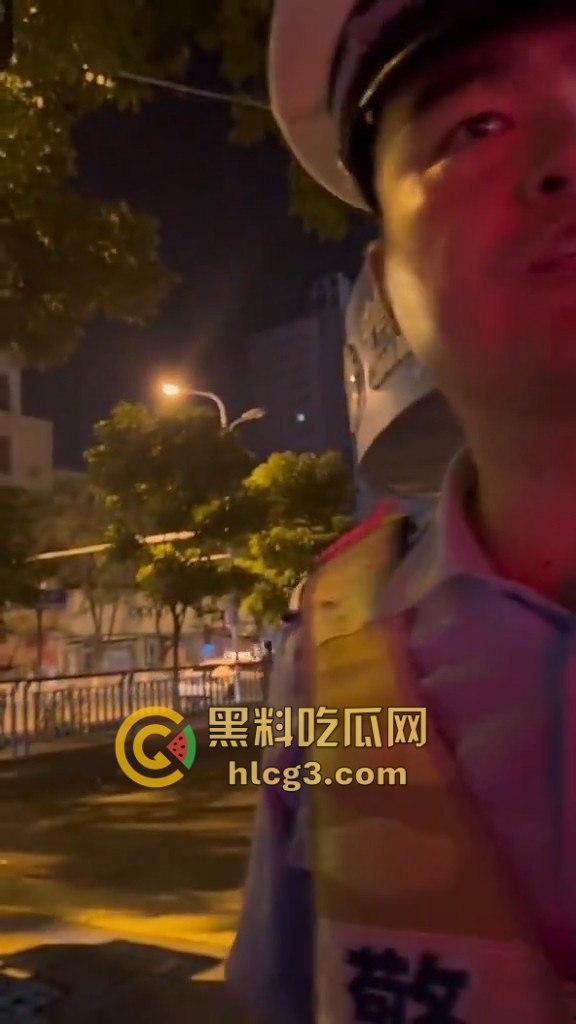 河南漯河暴力执法!男子举报警察查酒驾期间遭暴力搜车与殴打,行车记录仪被强行夺走!-4