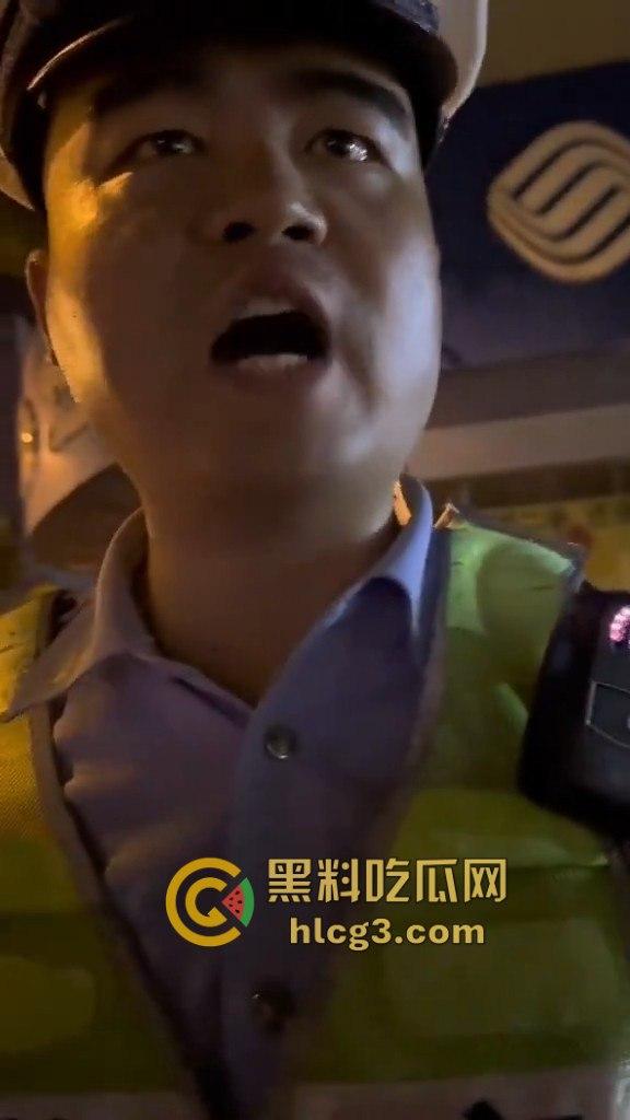 河南漯河暴力执法!男子举报警察查酒驾期间遭暴力搜车与殴打,行车记录仪被强行夺走!-5