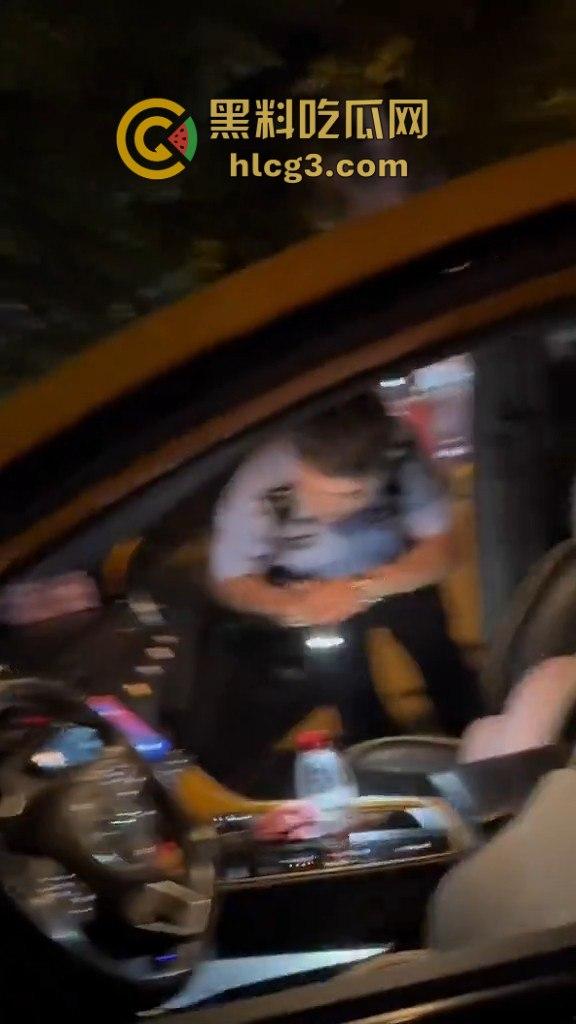 河南漯河暴力执法!男子举报警察查酒驾期间遭暴力搜车与殴打,行车记录仪被强行夺走!-6