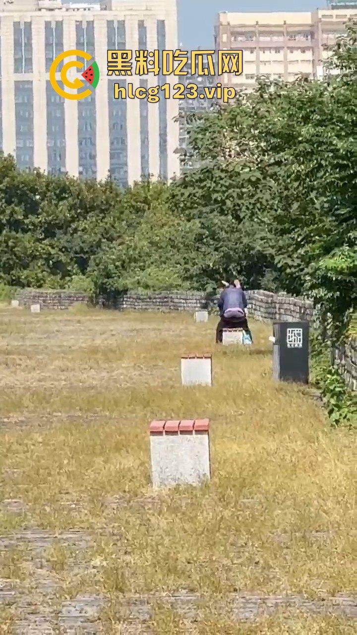 南京城墙惊现激情戏!大爷大妈公园打野战,瓜友带朋友全程目瞪口呆!-4