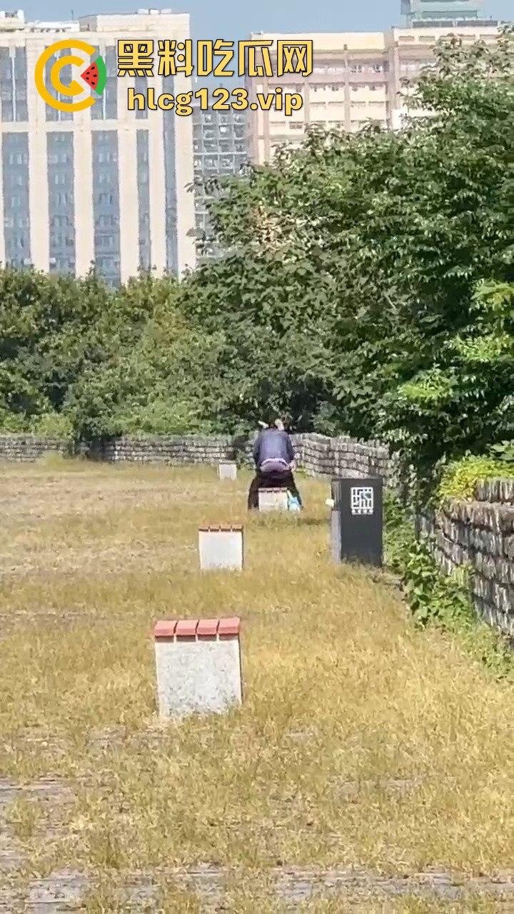 南京城墙惊现激情戏!大爷大妈公园打野战,瓜友带朋友全程目瞪口呆!-5