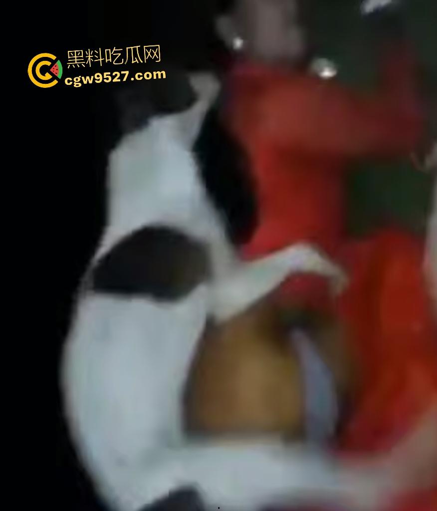 印度18岁少女为驱除“恶灵”,要嫁给一条流浪狗,深夜在户外被流浪狗后入,狗精子腥臭四溢!-2