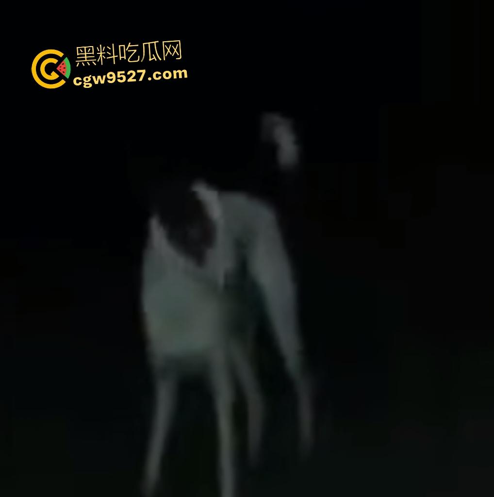 印度18岁少女为驱除“恶灵”,要嫁给一条流浪狗,深夜在户外被流浪狗后入,狗精子腥臭四溢!-7