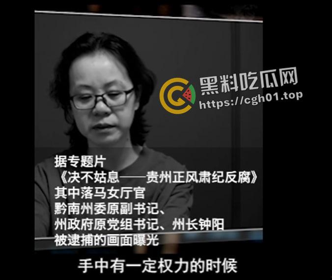 原贵州黔南州长【钟阳】包养五十多名男妃 性生活一次需要十几名男人满足 女高官淫趴视频被流出-5