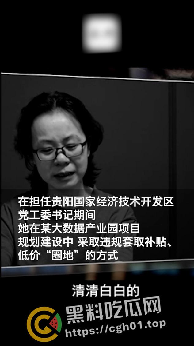原贵州黔南州长【钟阳】包养五十多名男妃 性生活一次需要十几名男人满足 女高官淫趴视频被流出-6