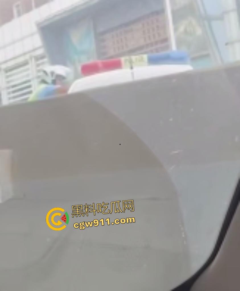 石家庄现实版侠盗飞车!欲跳桥自杀男子反转抢警车狂飙撞飞路人,警方围堵抓捕直接撞烂警车!-7