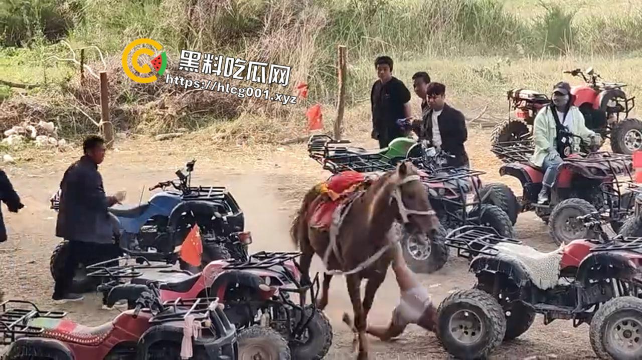 河南郑州阳市黄河桃花峪大桥一马场有小孩头朝下被马疯狂拖行看着属实揪心阿-3