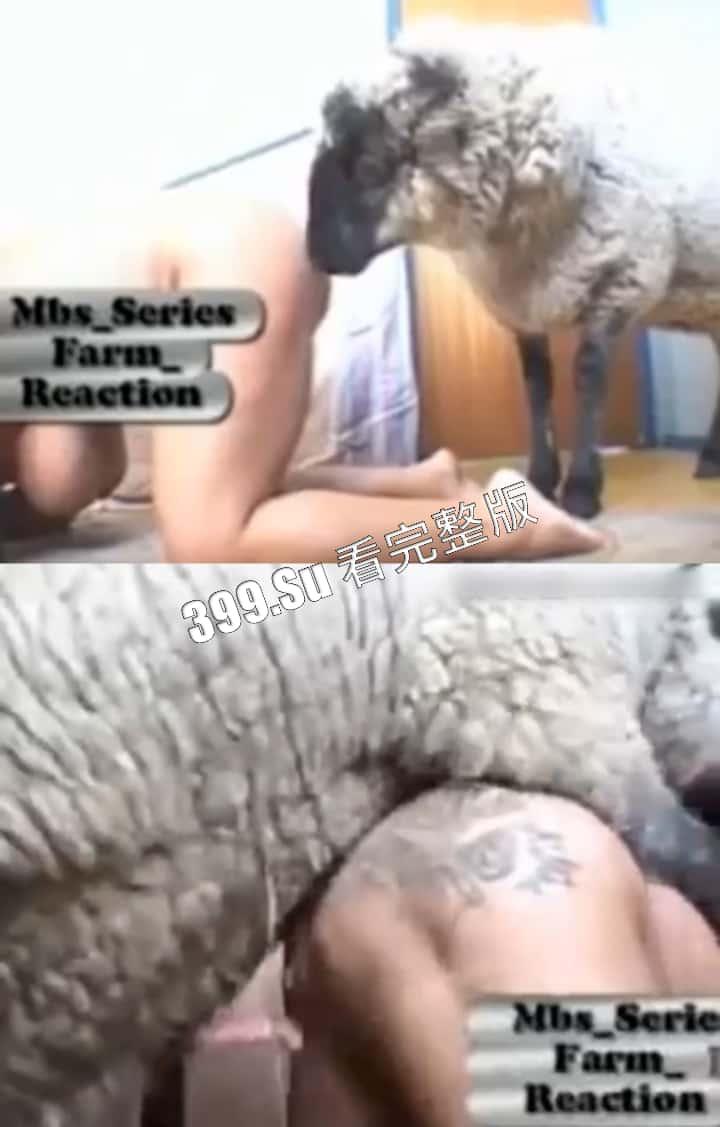 人兽篇 不理解，但是大为震撼！本场男演员：哮天犬，黑龙马，斯内克，喜羊羊（介意的瓜友 勿点 ! ）(三)-9